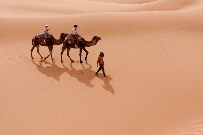 Marrakech to Merzouga Desert Tour 3 Days - Included Experiences