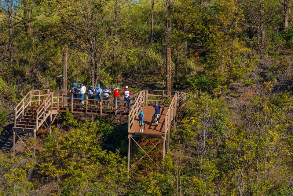 Maui: Kaanapali 8 Line Zipline Adventure - Key Points