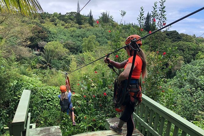 Maui Zipline Eco Adventure - 8 Lines Through the Jungle - Key Points