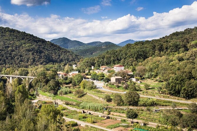 Medieval Villages & La Garrotxa Volcanic Zone Hiking. Small Group Tour - Key Points