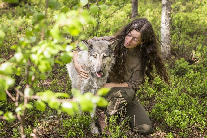 Meet Taivas & the Arctic Wolves - Private Tour - Key Points