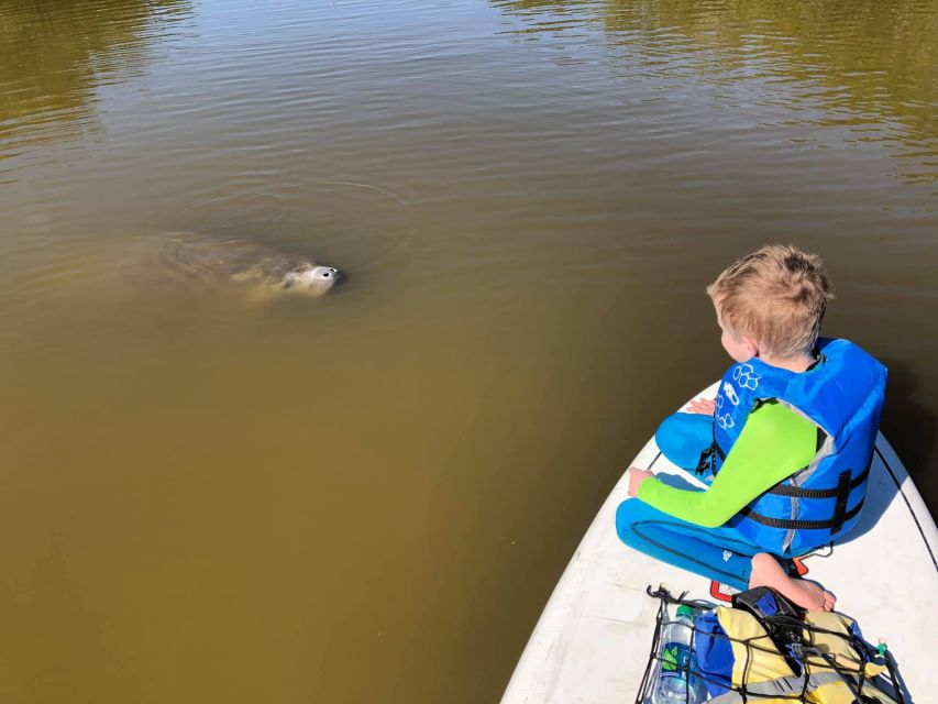 Merritt Island: Guided Kayak or SUP Tour Along Banana River - Key Points