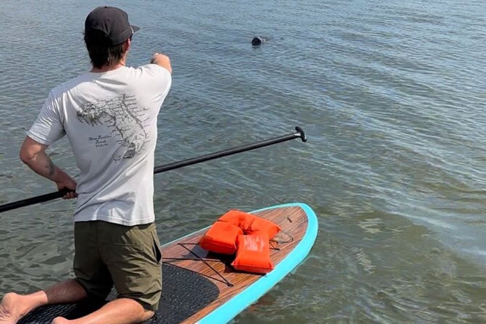 Merritt Island: Manatee Watching Paddle or Kayak Tour - Key Points