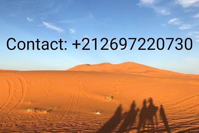 Merzouga Desert Campsite &Camel Excursions - Overview of the Campsite