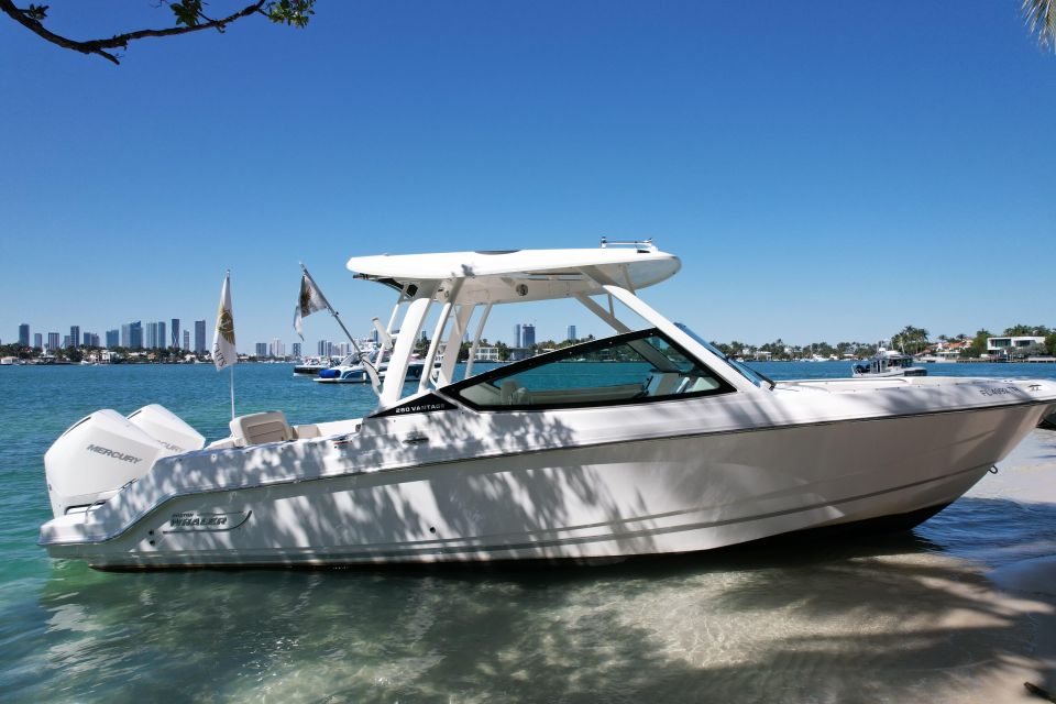 Miami: Private Star Island, Miami Skyline & Miami River Tour - Key Points