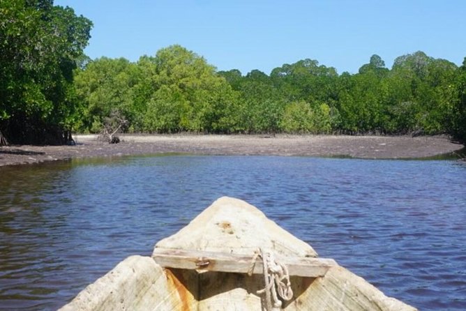 Mida Creek Boardwalk and Canoa Ride - Key Points