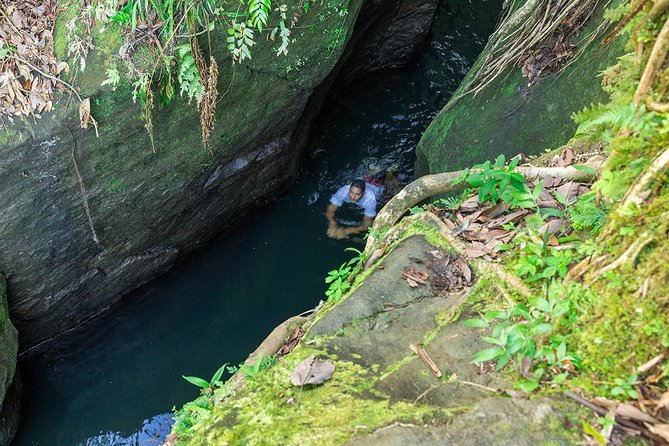 Middleham Falls and Titou Gorge Half-Day Excursion - Highlights of the Tour