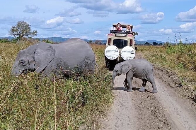 Mikumi Safari Tour: Day Trip Return Flight From Zanzibar - Key Points