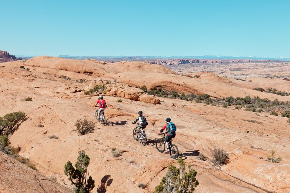 Moab: Mountain Bike Half Day Tour - Key Points