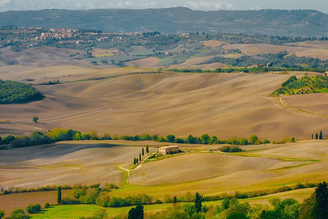 Montepulciano: Wine Tasting & Lunch in a Typical Winery - Key Points