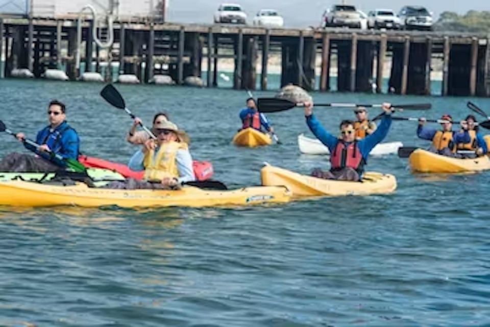 Monterey: Cannery Row Kayak Tour - Key Points