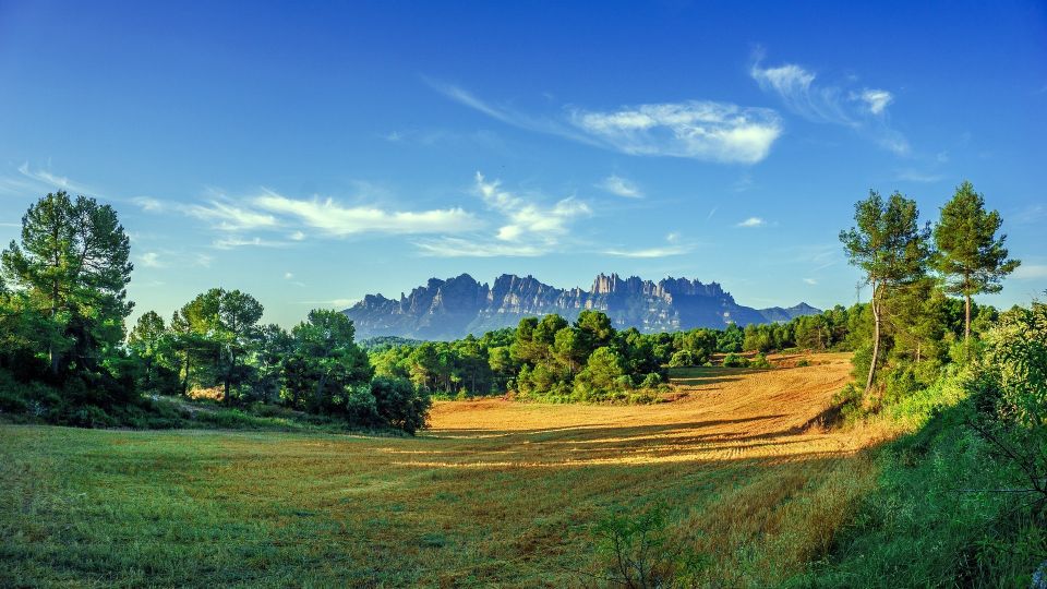 Montserrat: Private Half-Day Tour From Barcelona - Key Points