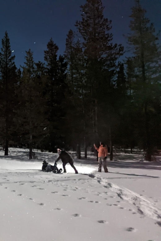 Moonlight Snowshoe Tour Under a Starry Sky - Key Points