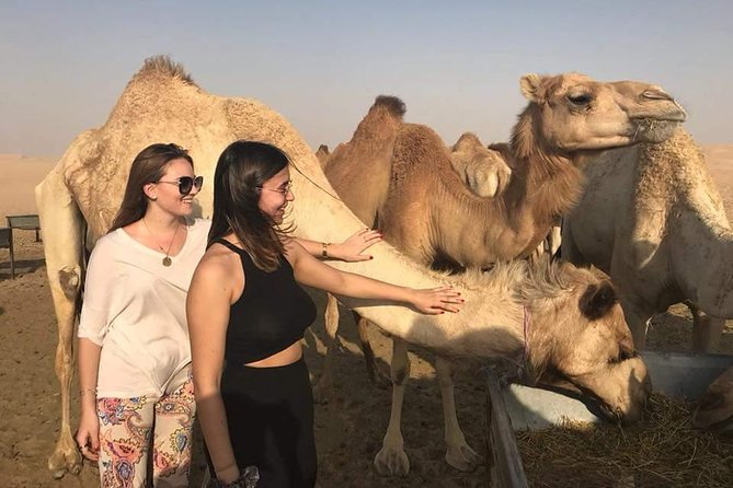 Morning Desert Safari With Camel Ride & Sand Skiing Private Tours - Key Points