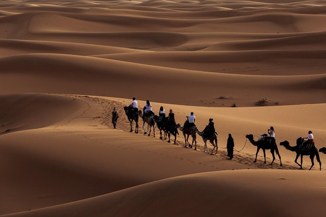 Morning Desert Safari With Dune Bashing And Sand Boarding Key Points