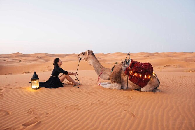 Morocco 7days 6nights VIPtour Marrakech-Sahara Desert-Chefchaouen - Key Points