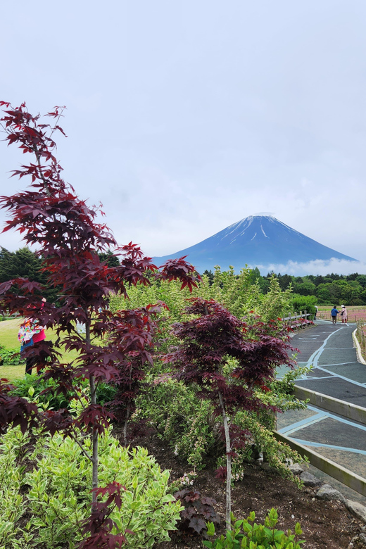 Mount Fuji One Day Private Tour by Car With English Driver - Key Points