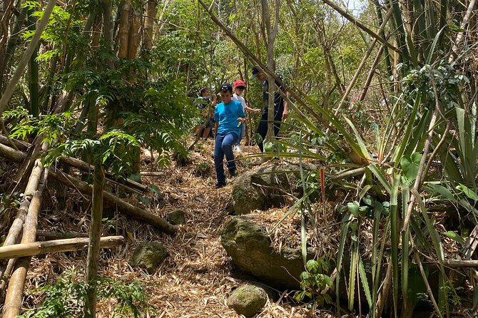 Mount Healthy National Park Private Hike Tour in Tortola - Key Points