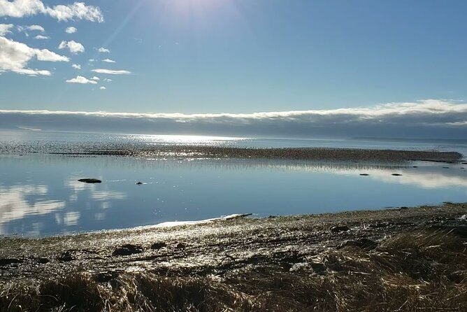 Mud Bay Park Bicycle Rental - Key Points