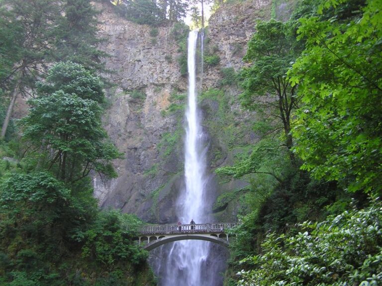 Multnomah Falls & Columbia River Gorge Tour With Gray Line Tour Experience