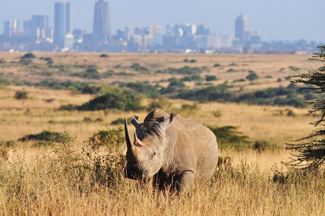 Nairobi National Park, Baby Elephant Orphanage and Giraffe Center - Key Points