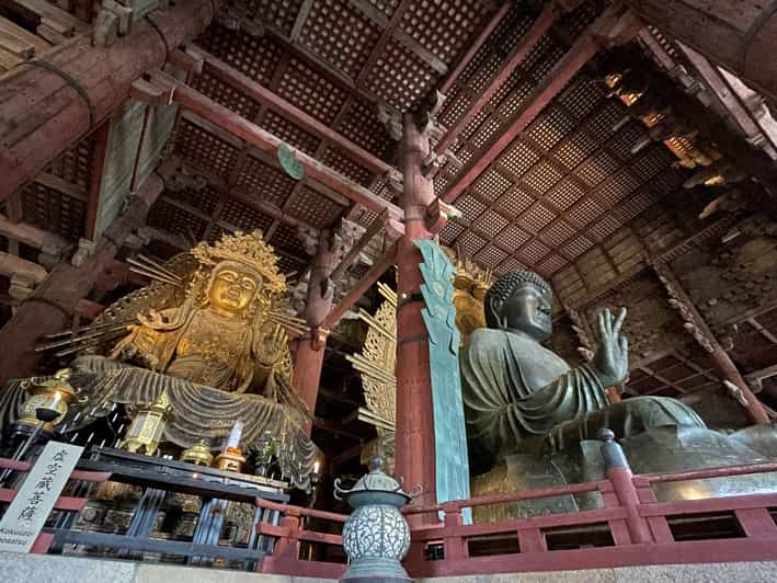 Nara: Half Day Local Guide– Big Buddha, Deer, Shrine, Forest Guided Walking Tour