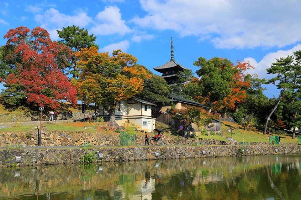 Nara:Private Walking Tour With Famous Spot & Sake & Mochi - Key Points