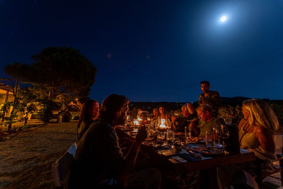 Naxos: Full Moon Dinner and Wine Tasting in a Vineyard - Key Points