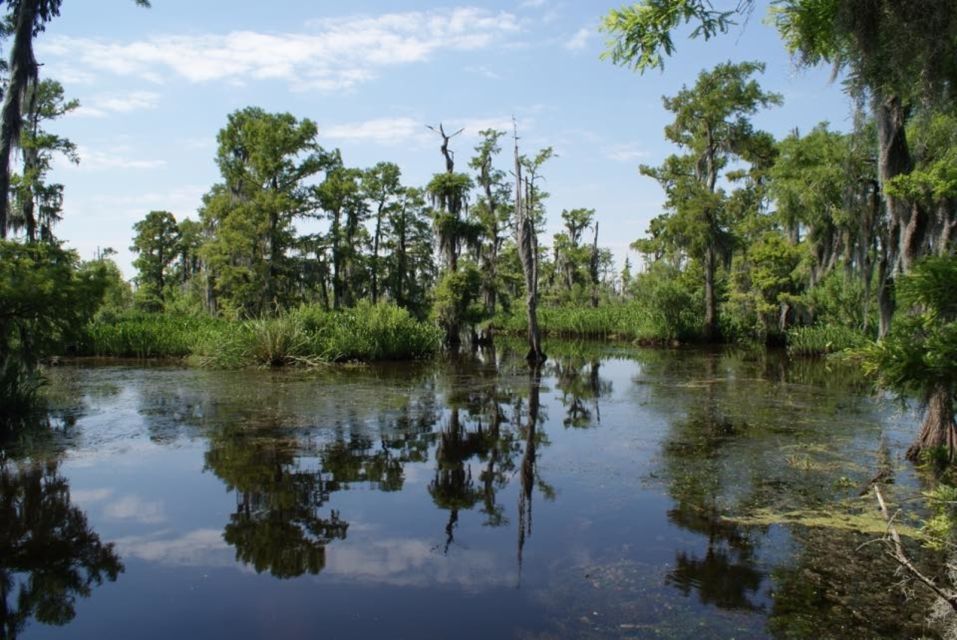 New Orleans: High Speed 16 Passenger Airboat Ride - Key Points