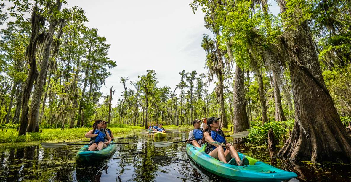 New Orleans: Manchac Magic Kayak Swamp Tour - Key Points