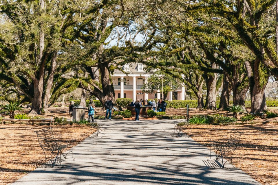 New Orleans: Oak Alley Plantation & Airboat Swamp Combo Tour - Key Points