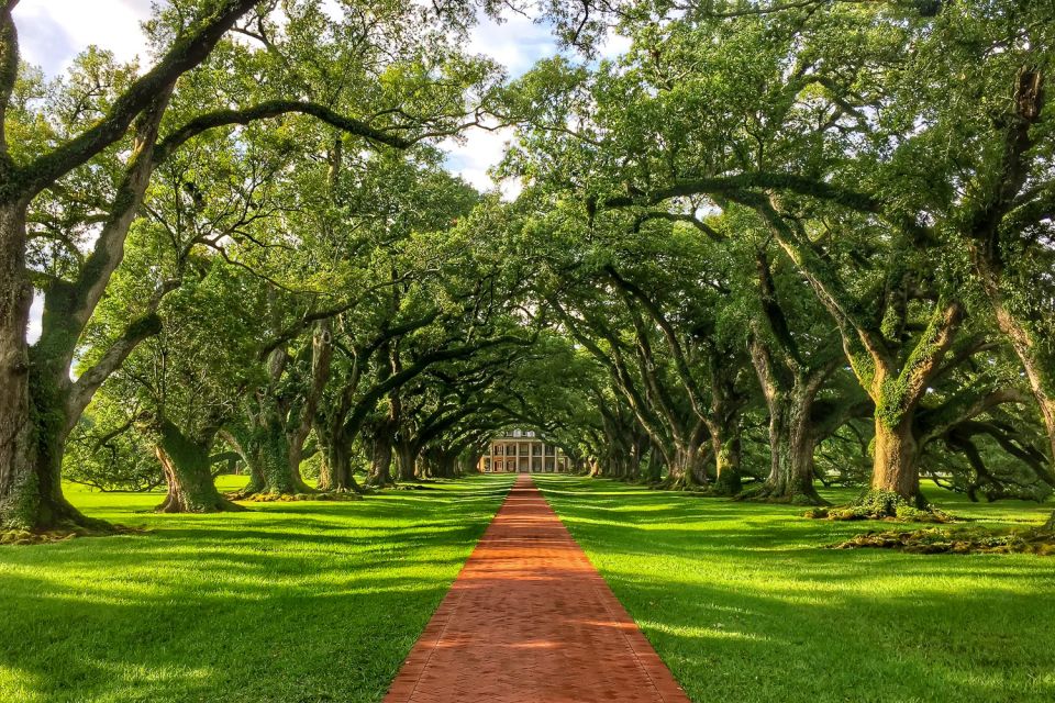 New Orleans: Oak Alley Plantation Tour With Transportation - Key Points