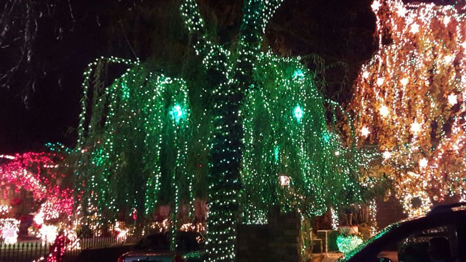 New York City: Dyker Heights Christmas Lights Tour - Key Points