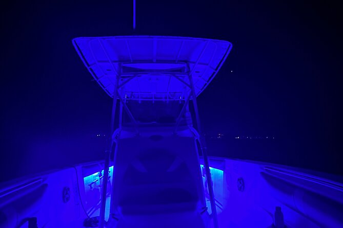 Night Snorkeling and Boat Experience With Appetizer and Drinks - Key Points