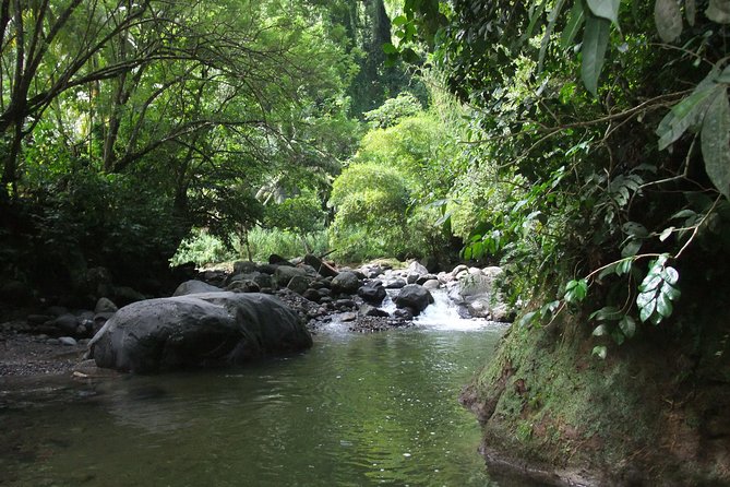 North Island Tour And Martinique Best Secret - Monuments and Island History