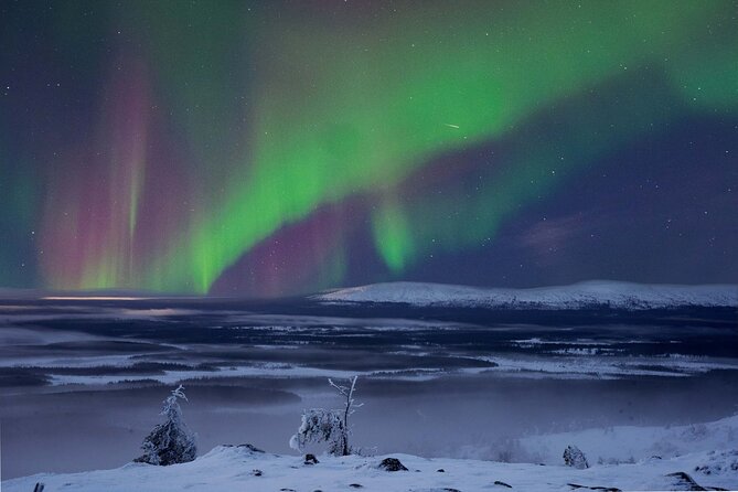 Northern Lights Hunting Photography Tour in Levi - Key Points