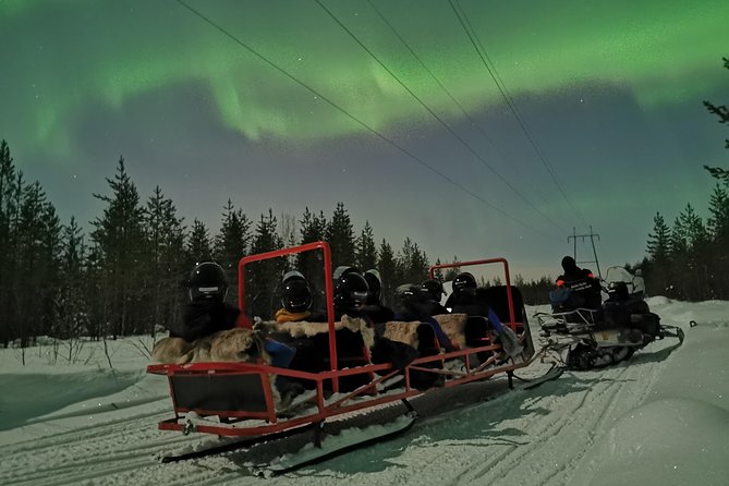 Northern Lights Sledge Ride - Key Points