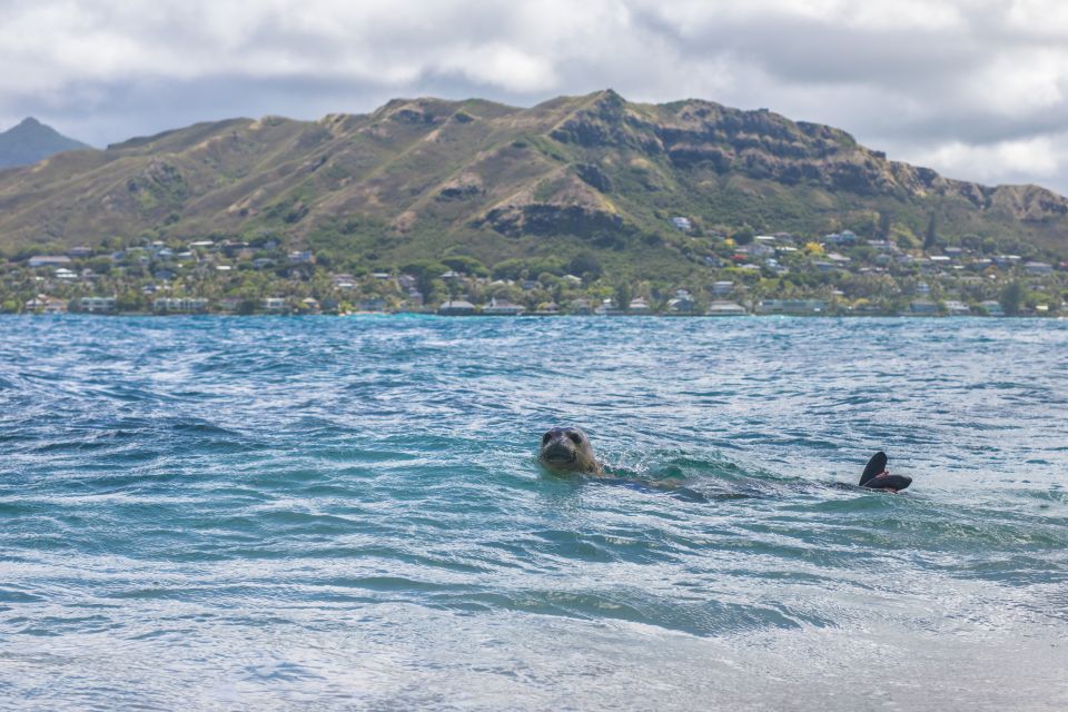 Oahu: Authentic Hawaiian Sailing Adventure to Mokuluas - Key Points