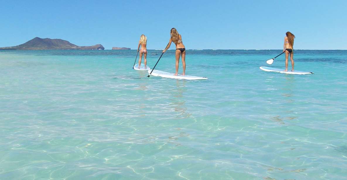 Oahu: Kailua Stand Up Paddle Board Lesson - Key Points