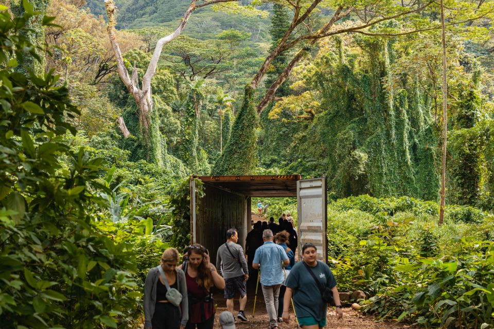 Oahu: Manoa Falls Waterfall Hike With Lunch and Transfers - Key Points