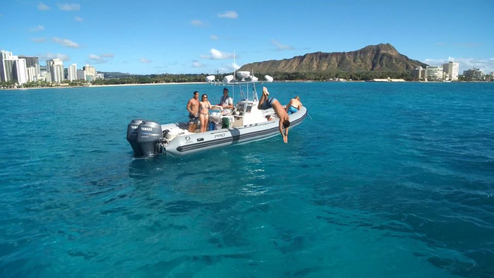 Oahu: Waikiki Private Snorkeling and Wildlife Boat Tour - Key Points