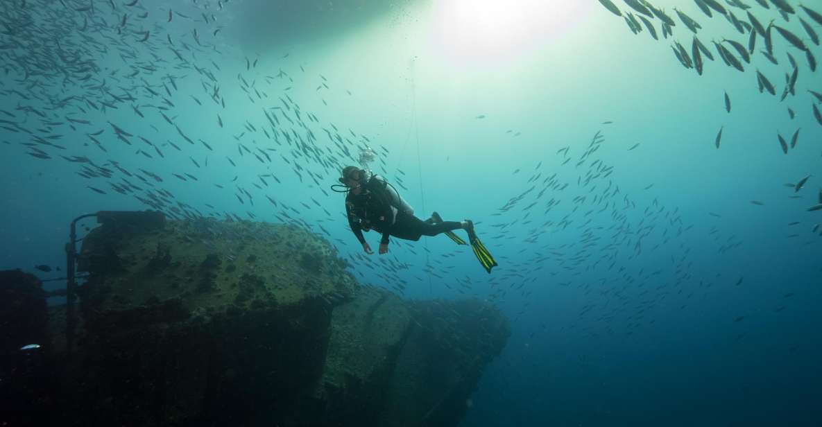 Oahu: Wreck & Reef Scuba Dive for Certified Divers - Key Points