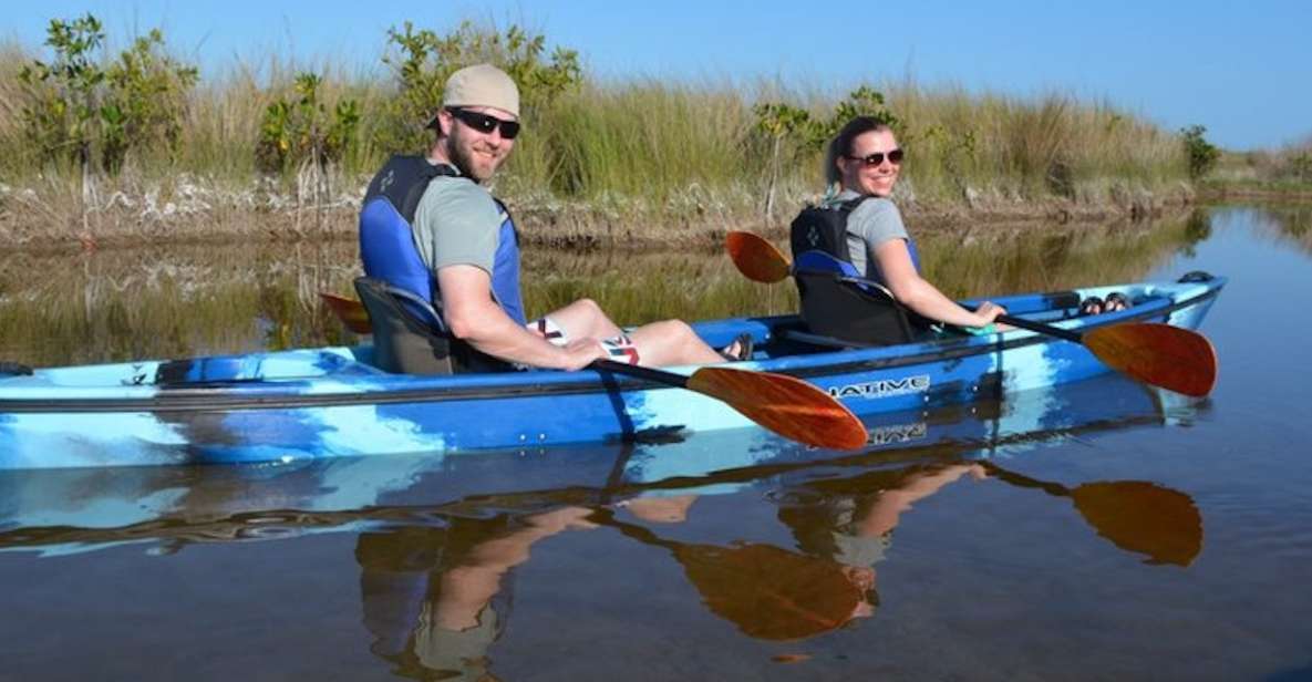 Ochopee: Half-Day Mangrove Tunnel Kayak Tour - Key Points