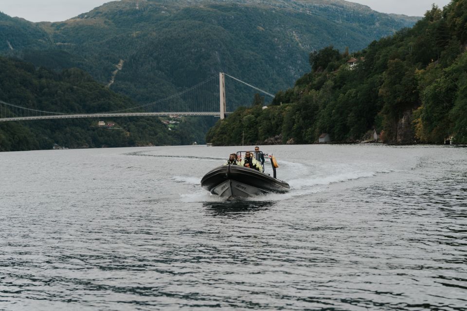 Oeystese: Hardangerfjord RIB Safari to the Fyksesund Branch - Key Points