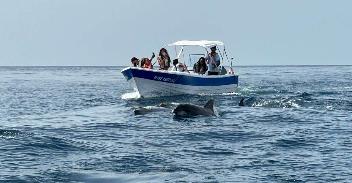 Olhão - Dolphin and Other Species Safari Watching - Key Points