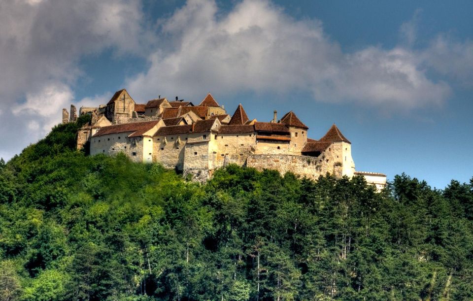 One Day Trip Bear Sanctuary, Dracula Castle, Rasnov Fortress - Key Points