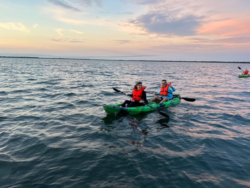 Orlando: Bioluminescence Clear Kayaking or Paddleboarding - Key Points