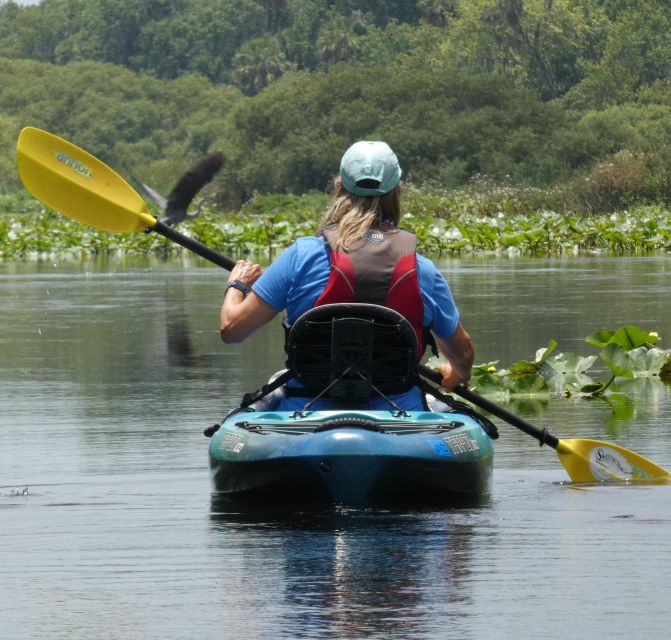 Orlando: Small Group Scenic Wekiva River Kayak Tour - Key Points