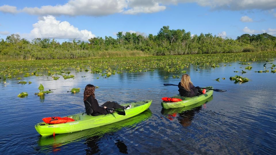 Orlando: Sunset Guided Kayaking Tour - Key Points