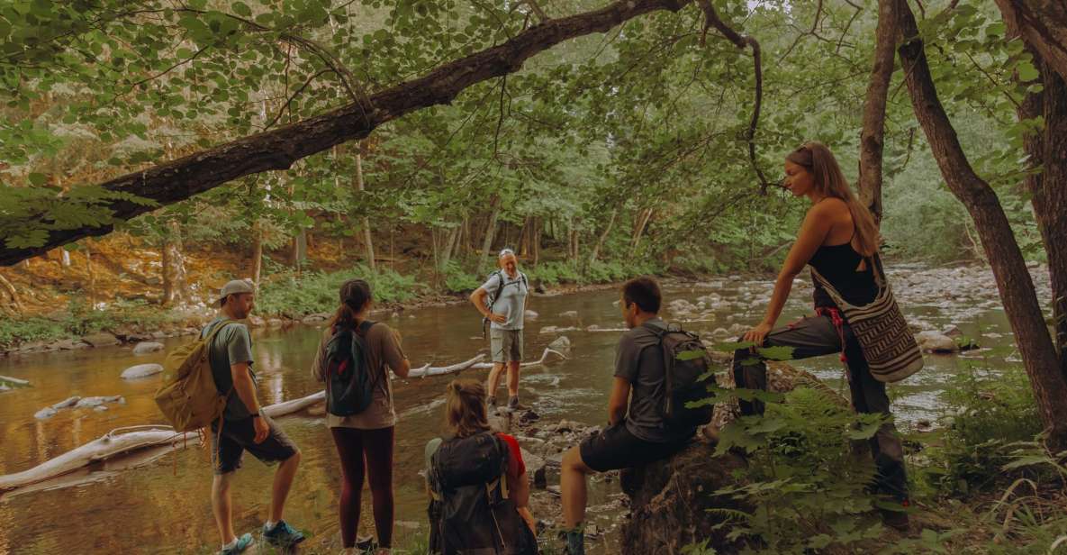 Oslo: Lysaker Wild River Walk - Key Points